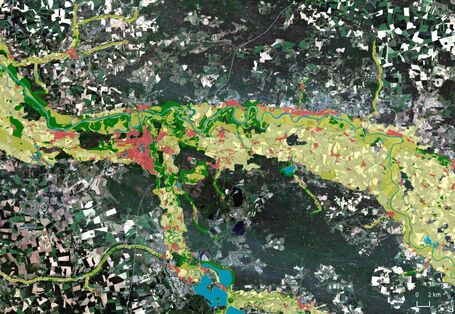 Sentinel-2 RGB Satellitenbildaufnahme von Dessau-Roßlau (Aufnahmedatum 21.06.2020), überlagert mit dem Datenprodukt „Riparian Zones“ (Bezugsjahr 2012), der durch den Copernicus Landdienst bereitgestellt wird.