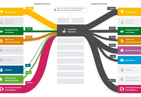 Grafik Stickstoffbilanz in der Industrie