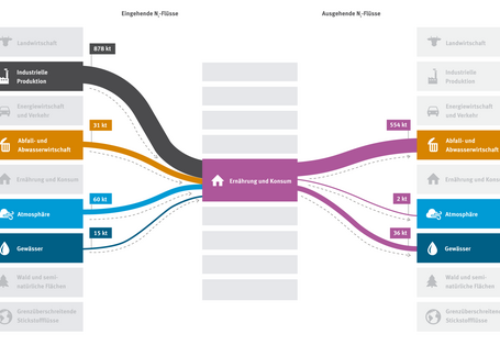 Grafik Stickstoffbilanz in der Ernährung