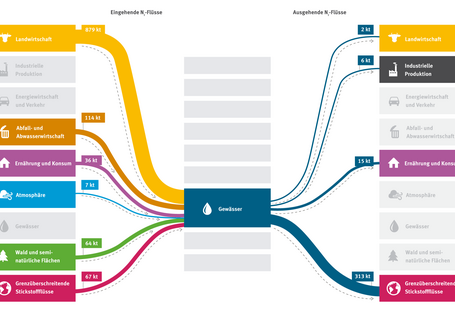 Grafik Stickstoffbilanz von Gewässer