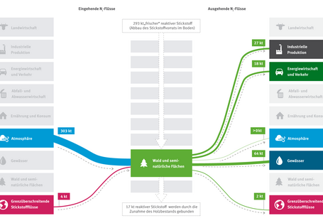 Grafik Stickstoffbilanz des Waldes