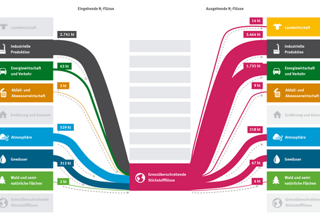 Grafik Stickstoffbilanz Grenzüberschreitend