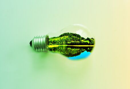 Symbolisches Bild einer Glühbirne, in der sich eine Landschaft spiegelt