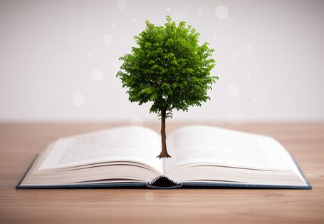 Book blooming out of a tree