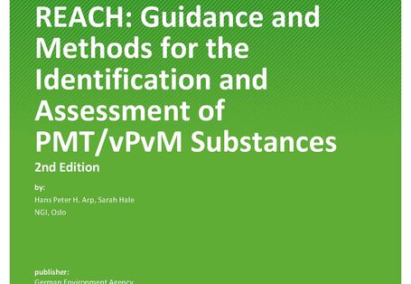 Cover von 2023-04-21_TEXTE_19-2023_REACH_guidance_PMTvPvM_assessment