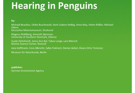 Cover of report "Hearing in Penguins"