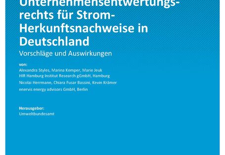 Cover des Berichts "Analyse eines Unternehmensentwertungsrechts für Strom-Herkunftsnachweise in Deutschland"