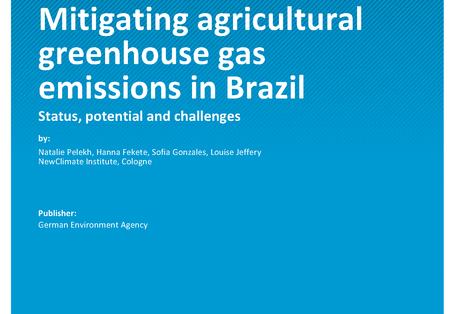Cover of report "Mitigating agricultural greenhouse gas emissions in Brazil"