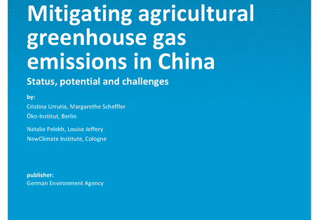 Cover of report "Mitigating agricultural greenhouse gas emissions in China"