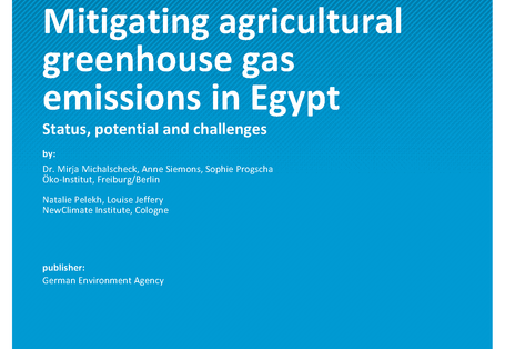 Cover of report "Mitigating agricultural greenhouse gas emissions in Egypt"