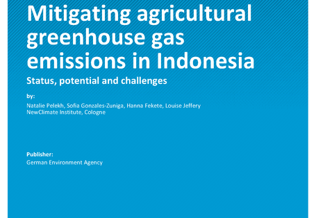 Cover of report "Mitigating agricultural greenhouse gas emissions in Indonesia"