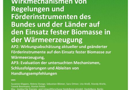 Cover des Berichts "Wirkmechanismen von Regelungen und Förderinstrumenten des Bundes und der Länder auf den Einsatz fester Biomasse in der Wärmeerzeugung"