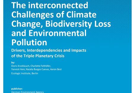 Cover of report "The Interconnected Challenges of Climate Change, Biodiversity Loss and Environmental Pollution" 