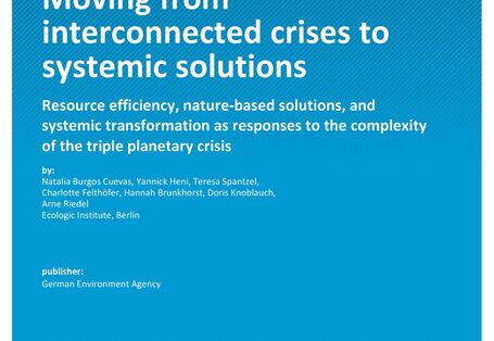 Cover of report "Moving from interconnected crises to systemic solutions"