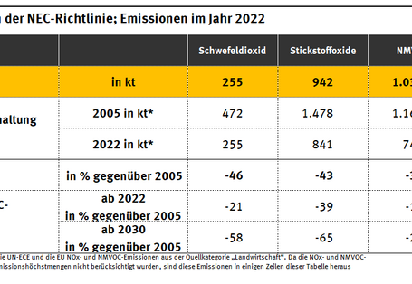 Eine Tabelle, die die deutschen Luftschadstoffemissionen im Jahr 2022 zeigt