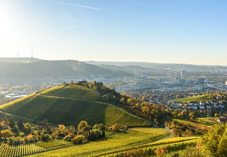 Weinberge bei Stuttgart.
