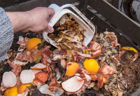 Eine Person entleert einen kleinen weißen Plastikeimer mit Küchenabfällen, wie Schalen von Zitrusfrüchten und Zwiebeln, auf einen Gartenkompost.