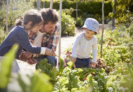 Mann mit zwei Kindern im Gemüsegarten