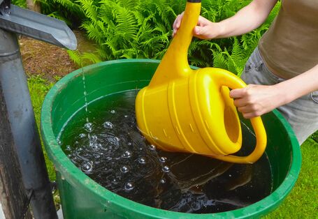 Eine Person taucht eine große gelbe Gießkanne in eine grüne Regentonne, die mit Wasser gefüllt ist. Links im Bild fließt Wasser aus einem metallischen Fallrohr direkt in die Tonne, im Hintergrund sind grüne Farne zu sehen.