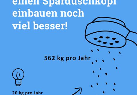 Glühbirne austauschen ist gut - einen Sparduschkopf einbauen noch viel besser.