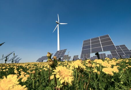  Ein Feld mit blühendem Löwenzahn, in dem sich Solarzellen und ein Windrad befinden.