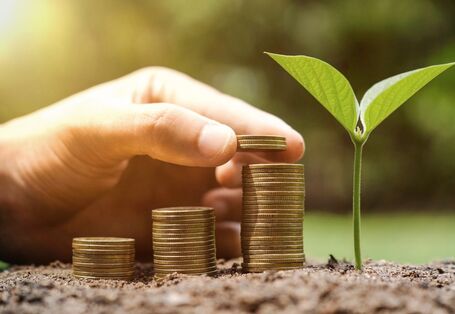 Geldmünzen und eine Pflanze symbolisieren den Zusammenhang zwischen Energierpreisen und Klimaschutz, den eine neue UBA-Studie untersucht.