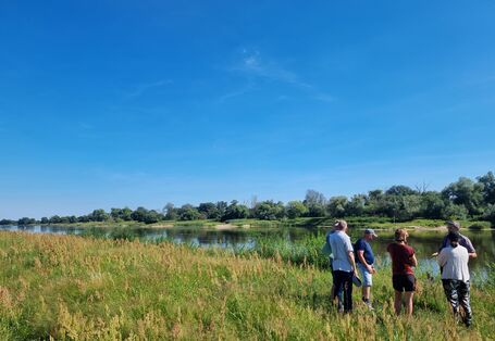 Teilnehmende der UBAwegs Tour im Juli auf einer Auenbegehung im Roßlauer Oberluch