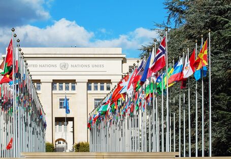 Picture of the UN building with flags in front of it 