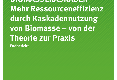 Cover der Publikation Texte 53/2017 BIOMASSEKASKADEN Mehr Ressourceneffizienz durch stoffliche Kaskadennutzung von Biomasse – von der Theorie zur Praxis