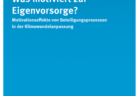 Cover der Publikation Climate Change 20/2017 Was motiviert zur Eigenvorsorge? Motivationseffekte von Beteiligungsprozessen in der Klimawandelanpassung 