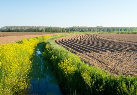 Bach zwischen zwei Ackerflächen