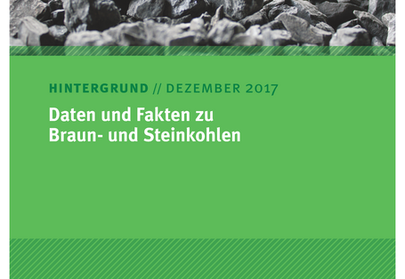Cover Daten und Fakten zu Braun- und Steinkohlen