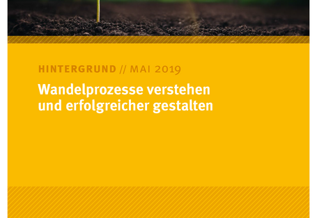 Cover des Hintergrundpapiers Wandelprozesse verstehen und erfolgreicher gestalten