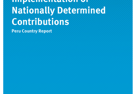 Cover of publication Climate Change 31/2018 Implementation of Nationally Determined Contributions - Peru 