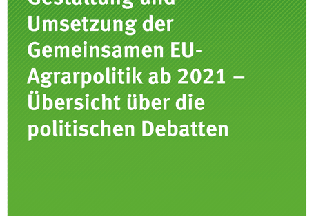 Cover der Publikation Texte 108/2018 Gestaltung und Umsetzung der Gemeinsamen EU-Agrarpolitik ab 2021 – Übersicht über die politischen Debatten