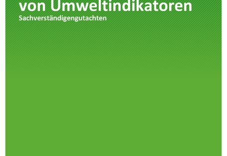 Cover der Publikation TEXTE 37/2019 Quantitative Bewertung von Umweltindikatoren