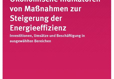 Cover der Publikation UIB 02/2019 Ökonomische Indikatoren von Maßnahmen zur Steigerung der Energieeffizienz