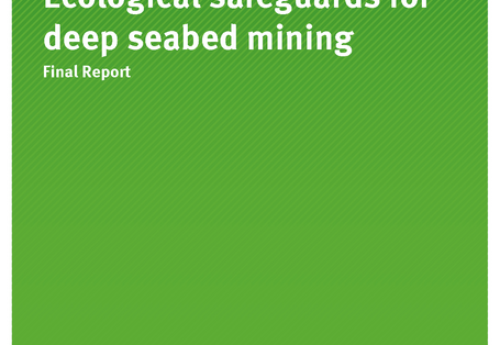 Cover der Publikation TEXTE 113/2019 Ecological safeguards for deep seabed mining
