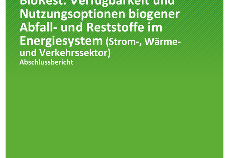 Cover der Publikation TEXTE 115/2019 BioRest : Verfügbarkeit und Nutzungsoptionen biogener Abfall- und Reststoffe im Energiesystem