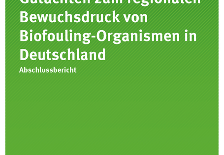 Cover der Publikation TEXTE 129/2019