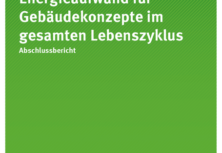 Cover der Publikation TEXTE 132/2019 Energieaufwand für Gebäudekonzepte im gesamten Lebenszyklus