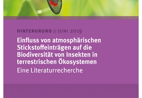 Cover des Hintergrundpapiers Einfluss von atmosphärischen Stickstoffeinträgen auf die Biodiversität von Insekten in terrestrischen Ökosystemen