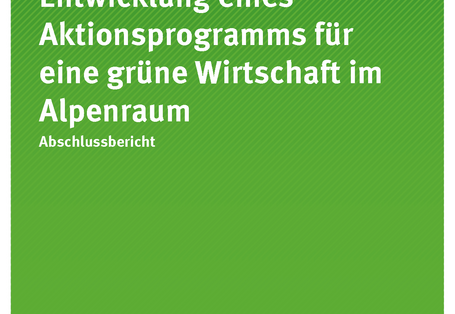 Cover der Publikation TEXTE 08/2020 Entwicklung eines Aktionsprogramms für eine grüne Wirtschaft im Alpenraum