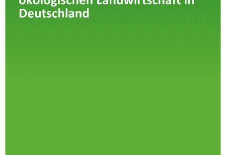 Cover der Publikation TEXTE 32/2020 Entwicklungsperspektiven der ökologischen Landwirtschaft in Deutschland