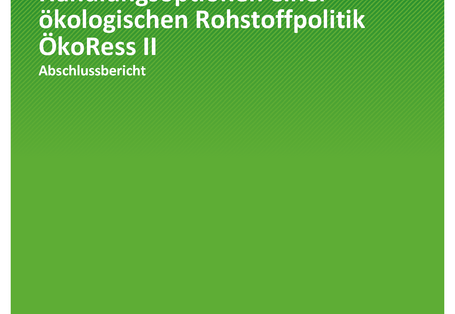 Cover der Publikation TEXTE 79/2020 ÖkoRess II