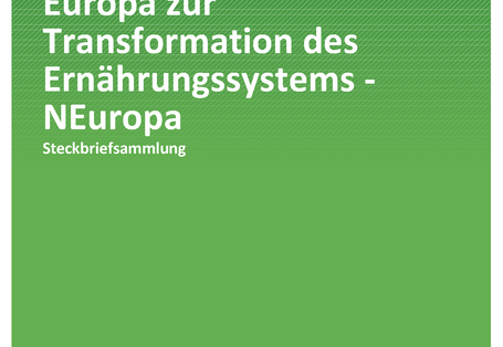 Cover der Publikation TEXTE 119/2020 Nischeninnovationen in Europa zur Transformation des Ernährungssystems - NEuropa