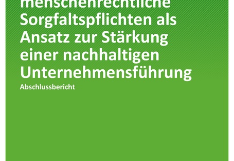 Cover der Publikation TEXTE 138/2020 Umweltbezogene und menschenrechtliche Sorgfaltspflichten als Ansatz zur Stärkung einer nachhaltigen Unternehmensführung