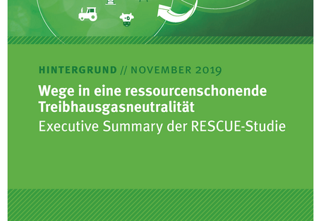 Cover des Hintergrundpapiers Wege in eine ressourcenschonende Treibhausgasneutralität