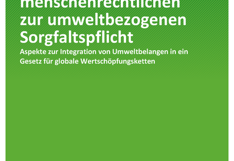 Cover der Publikation TEXTE 49/2020 Von der menschenrechtlichen zur umweltbezogenen Sorgfaltspflicht