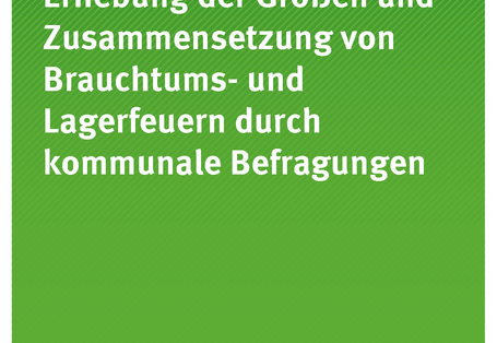 Cover der Publikation Texte 11/2018 Erhebung der Größen und Zusammensetzung von Brauchtums- und Lagerfeuern durch kommunale Befragungen